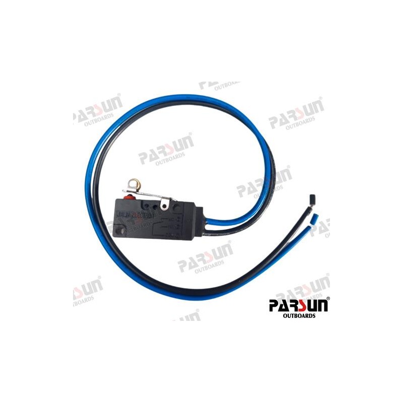 MICRO SWITCH