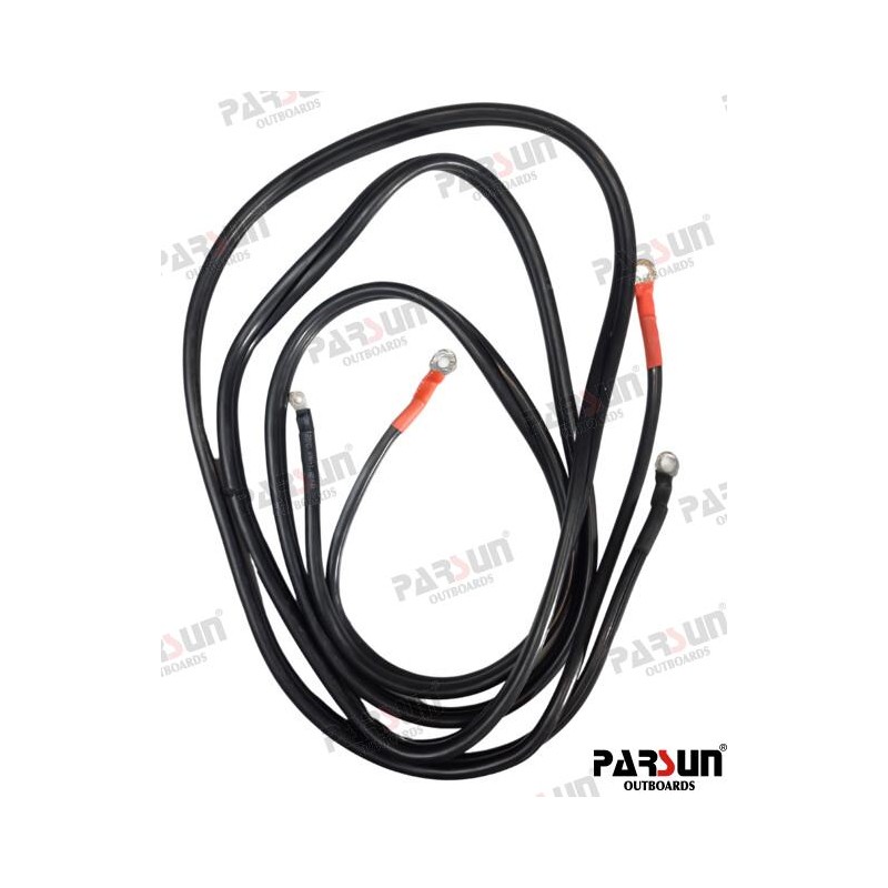 CABLES BATERIA