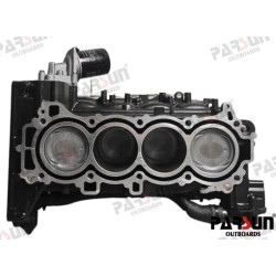 ENGINE ASSY