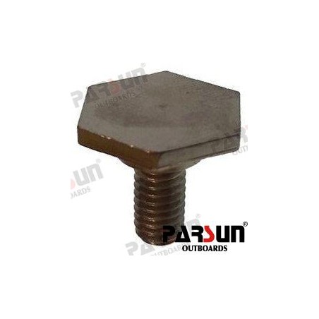 SCREW, FLAT HEXAGON