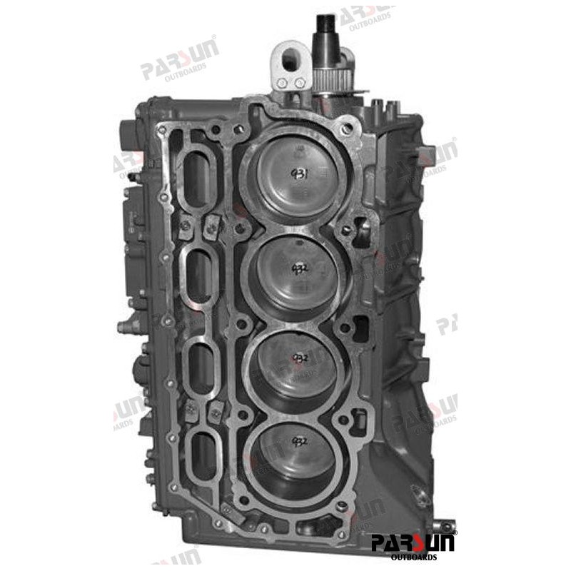 ENGINE ASSY