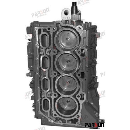ENGINE ASSY