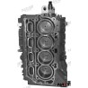 ENGINE ASSY