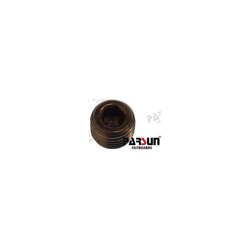 STOPPER 1/4 - 18NPT