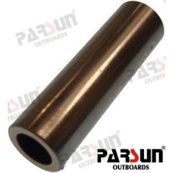 PIN, PISTON