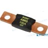 FUSIBLE SEA 100A