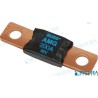 FUSIBLE SEA 200A