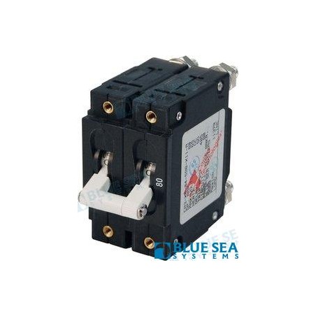 INTERRUPTOR MAGNETICO C 80A 2P