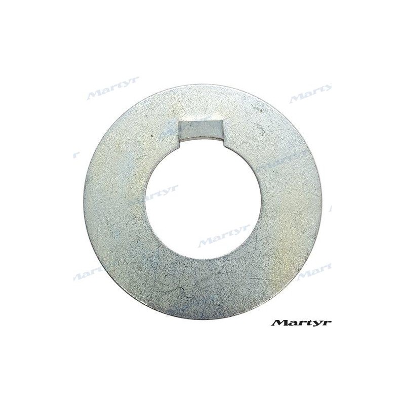 RADICE WASHER 35