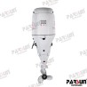 MOTOR PARSUN 4T 100HP L (20) BLANCO
