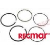 KIT AROS PISTON A 030 5.0,5.8 FORD