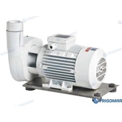 BOMBA AGUA SALADA B-CM 20A 0,37KW
