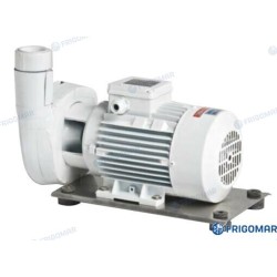 BOMBA AGUA SALADA B-NM40/12A/B (2,2 KW)