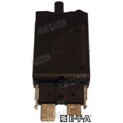 INT. THERMAL FUSE 20A
