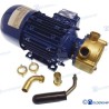 BOMBA ELECTRICA 12V 25L/MIN