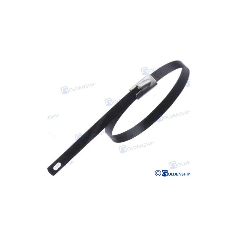 STAINLESS STEEL CLAMP 200X4.45 (25)