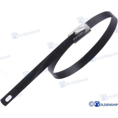 STAINLESS STEEL CLAMP 200X4.45 (25)