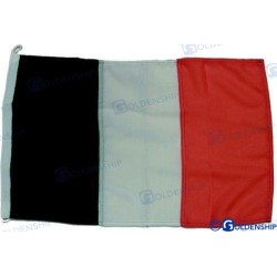 BANDERA IRLANDA 30X45