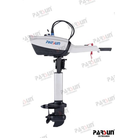 MOTOR ELECTRICO PARSUN JOY 1.2 EJE CORTO