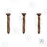 KIT TORNILLOS LUZ SEABLAZE (3)