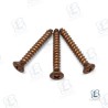 KIT TORNILLOS LUZ SEABLAZE (3)