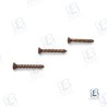 KIT TORNILLOS LUZ SEABLAZE (3)