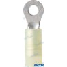 NYLON TERMINALS