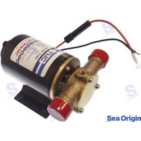 BOMBA DE ACHIQUE 12V.
