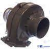 EXTRACTOR  12V.