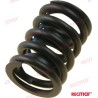 SPRING: VALVE 454 MKIV/GEN.V ST