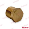 ANODENSTECKER