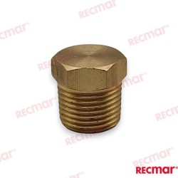 ANODE PLUG