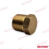 ANODE PLUG