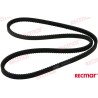 ALTERNATOR BELT