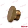 TAPON DE ANODO