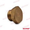 TAPON DE ANODO