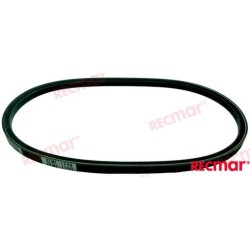 ALTERNATOR BELT