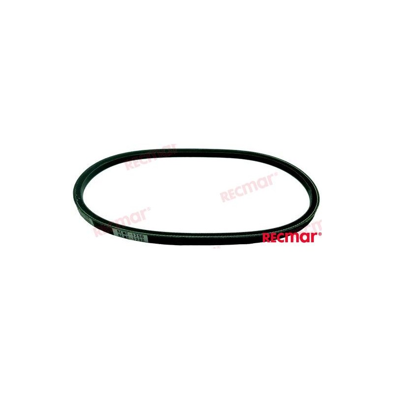 ALTERNATOR BELT
