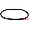 ALTERNATOR BELT
