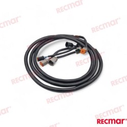EXTENSION ARNES 10FT (3M)
