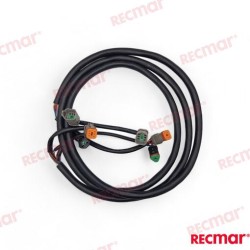EXTENSION ARNES 10FT (3M)