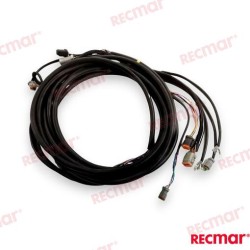 CABLEADO ENCENDIDO MOTOR 12FT