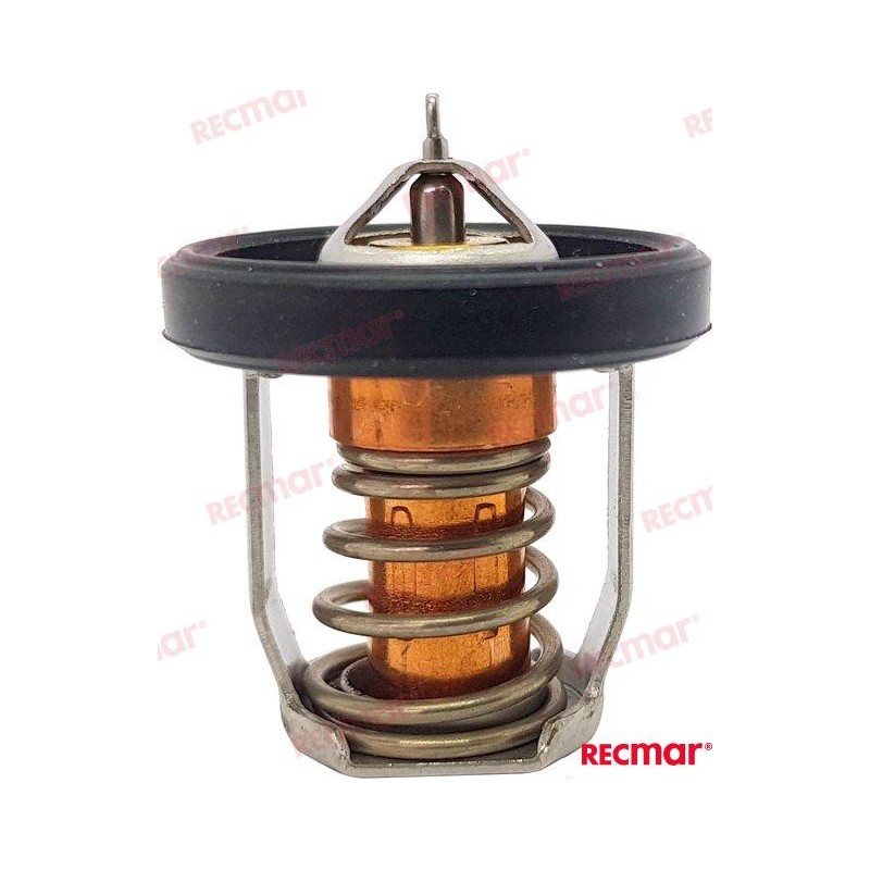 THERMOSTAT 60ºC