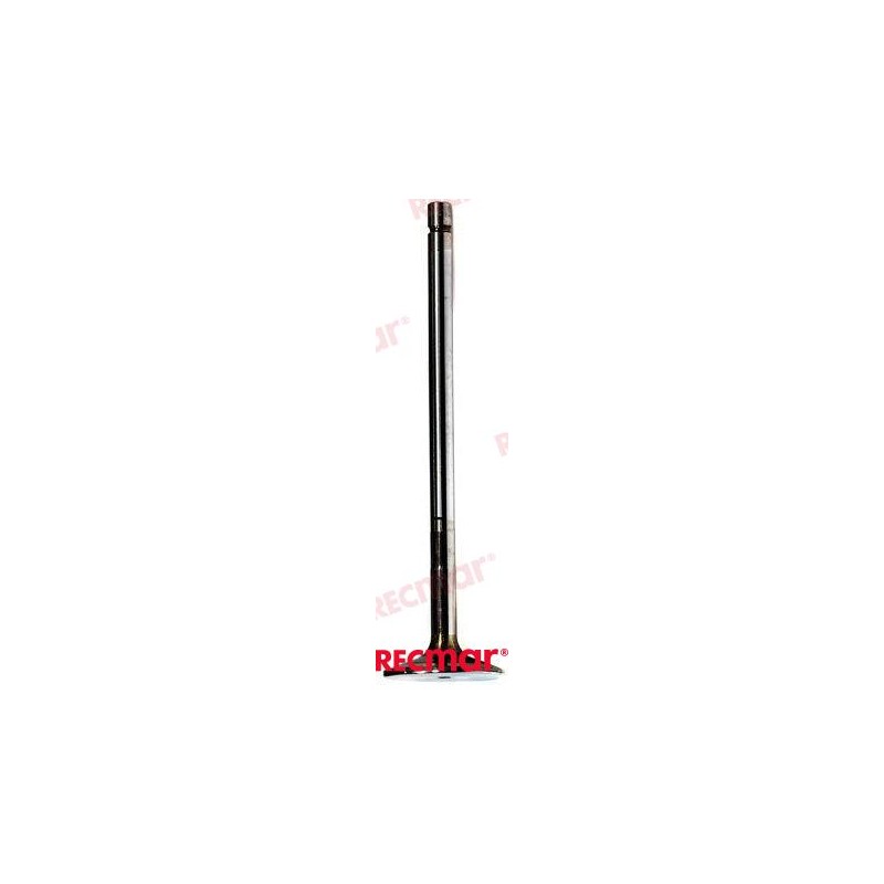 INTAKE VALVE