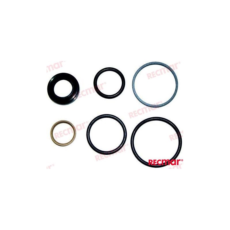 DPH/DPR STEERING PISTON REPAIR KIT