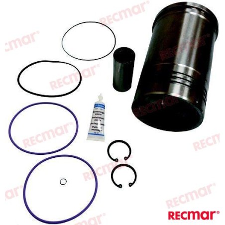 VOLVO PISTON AND SHIRT KIT