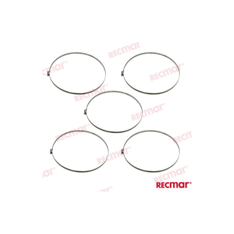 ABRAZADERA INOX SMO254 251-282 12mm (5)