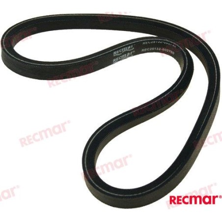 ALTERNATOR BELT