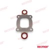 COLLECTOR GASKET