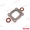 COLLECTOR GASKET